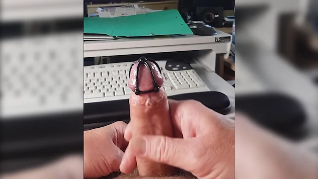 Novel cock plug with cage accessory