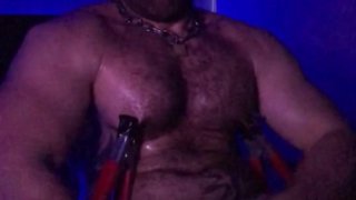 Oiled hairy hunk pig with nipple clamps