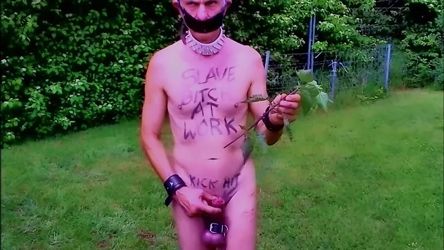 Exposing slave pig in public outdoor bdsm cbt with nettle urethra and dirty body writing