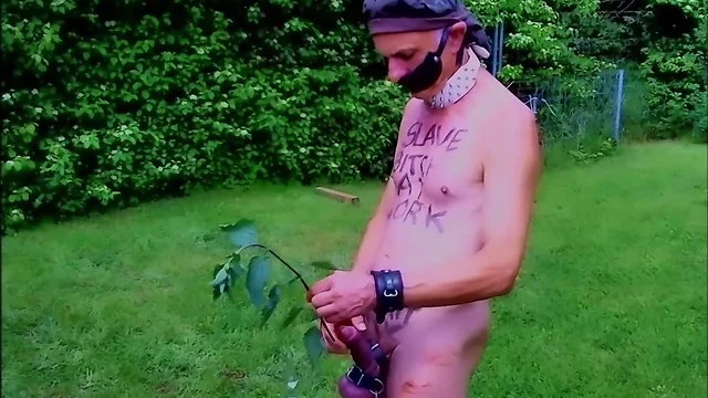 Exposing slave pig in public outdoor bdsm cbt with nettle urethra and dirty body writing