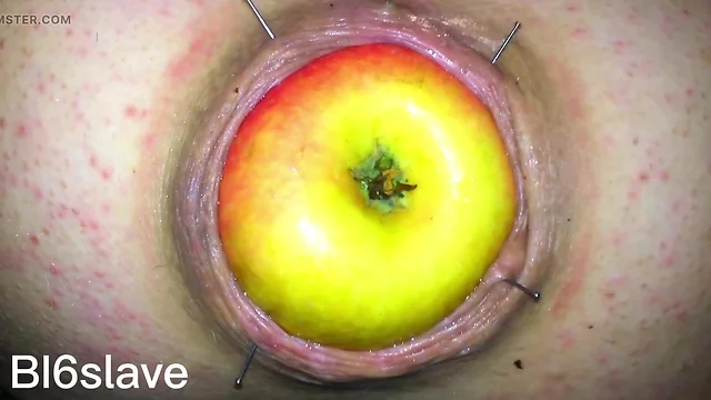 Removing an apple stuck in a pigs backside