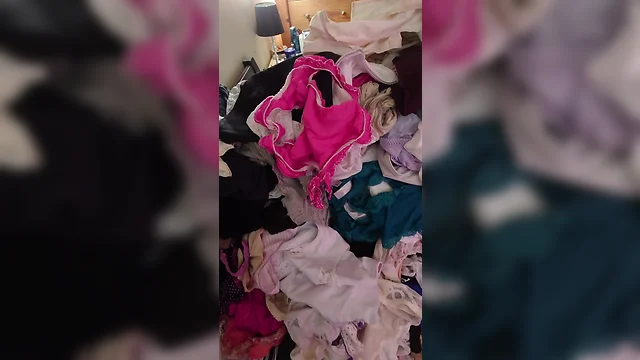 Pantieperv 5000: my entire collection of knickers and panties