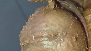 Clean my chocolate-covered dick - who will take the first suck?