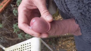 Outdoor hard cock wanking and cumming at lunchtime