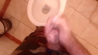 Video of Fingering and finishing in the toilet