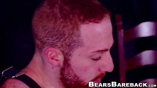 Hardcore bear compilation: big cock bears, hunks, rimming, tattoo, blowjob, bareback, muscle, and hairy