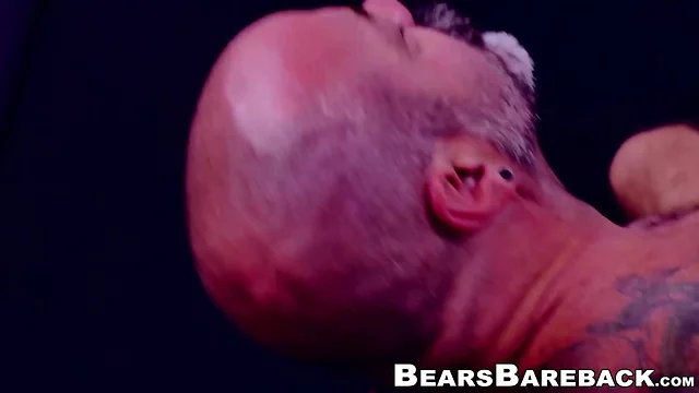 Scott finn: hairy bears, big cocks, and hardcore bareback rimming!