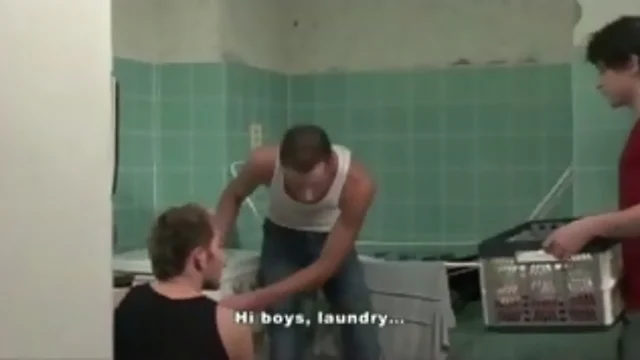 Gay Euro Laundry Room
