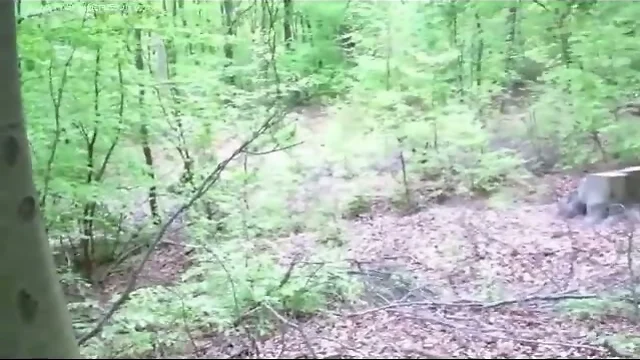 Twink jerks off in woods
