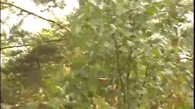 Hardcore gay fucking in the woods